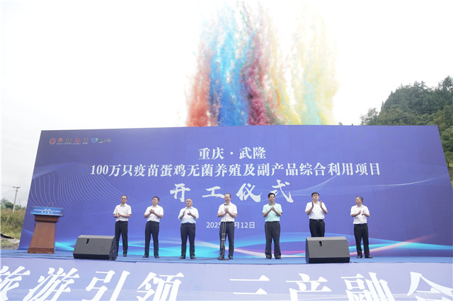 年产3.2亿枚疫苗用鸡蛋 武隆现代农业产业再上新台阶