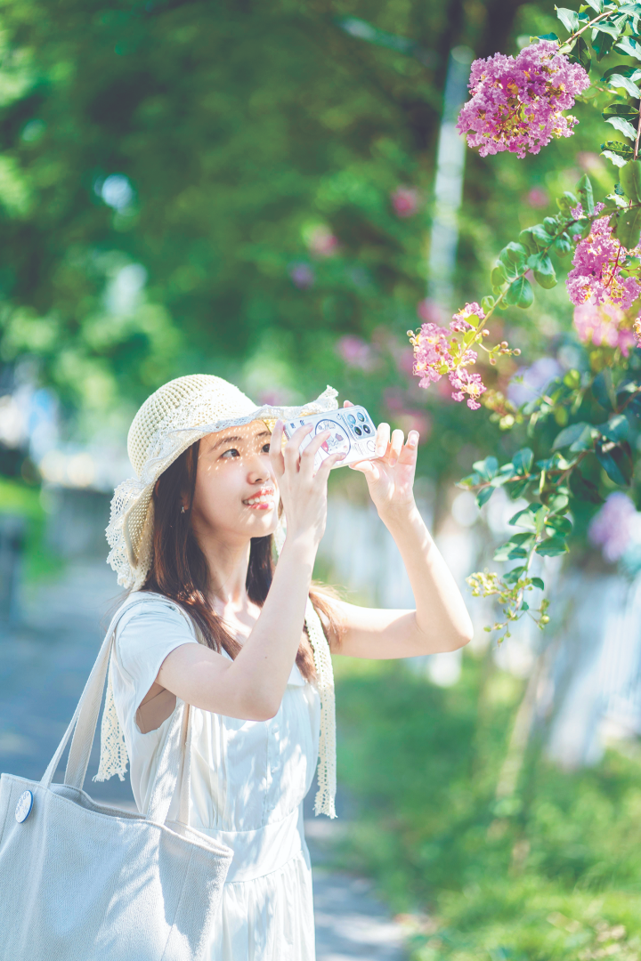 市民在山海路拍摄紫薇花。