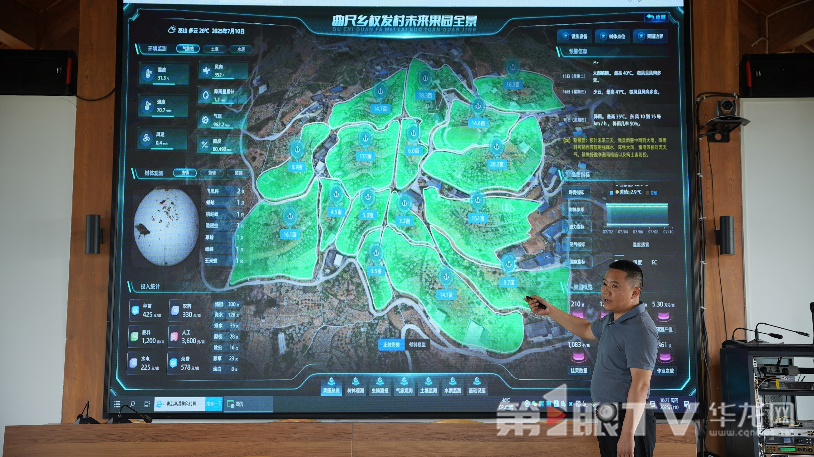 孙祖勇正在展示脆李的数字管护。第1眼TV-华龙网记者 陈毅 摄