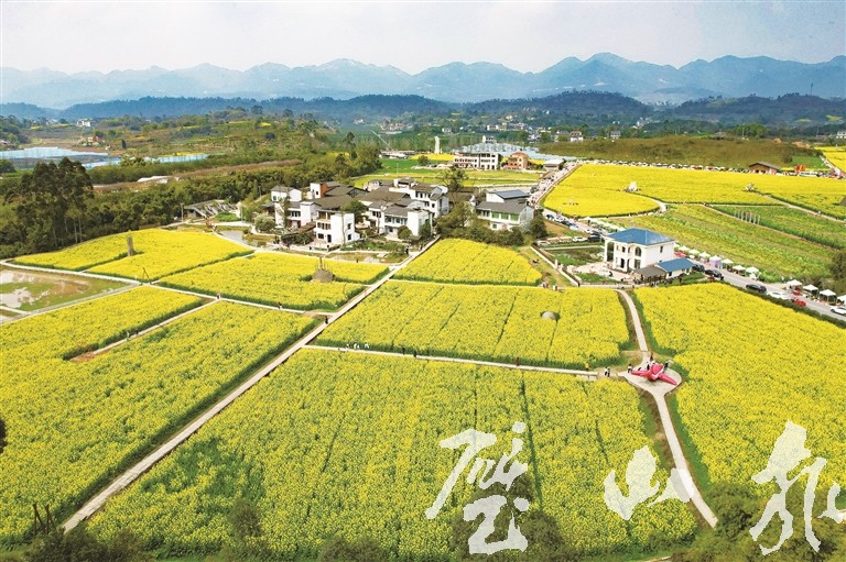 七塘镇莲花穴。