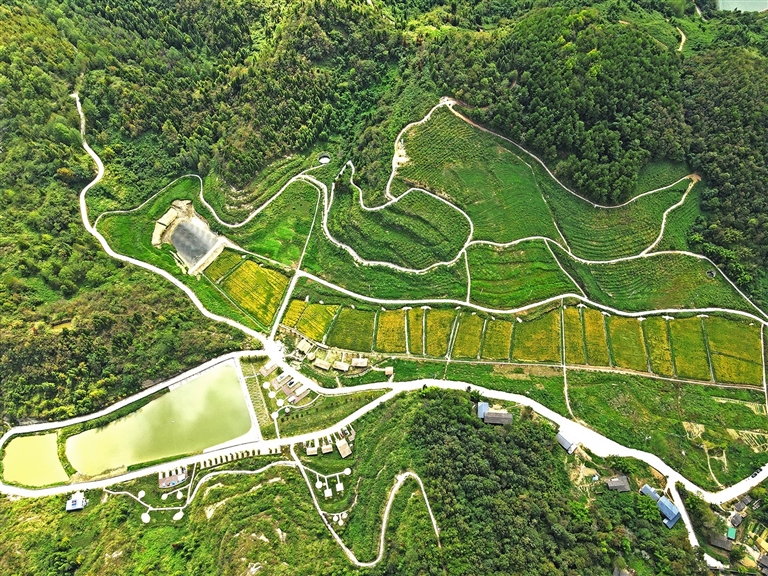 依山傍水的露营基地。